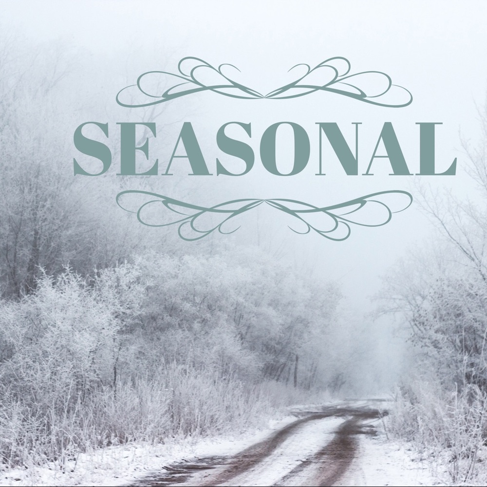 Seasonal Items!!! ❄️🏂
